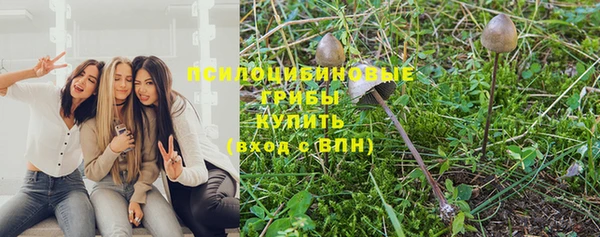 бошки Аркадак
