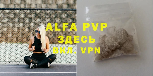 индика Армянск