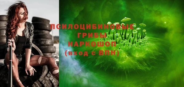 индика Армянск