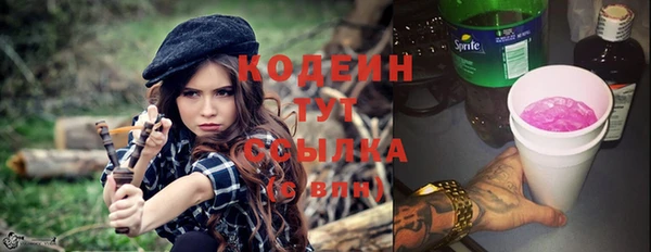 индика Армянск