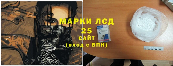 индика Армянск